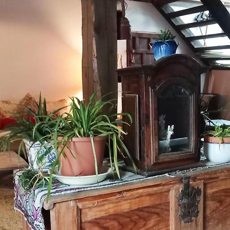 Suite En Cuadra Pajar, Casa Rural Hoz de Jaca Dış mekan fotoğraf